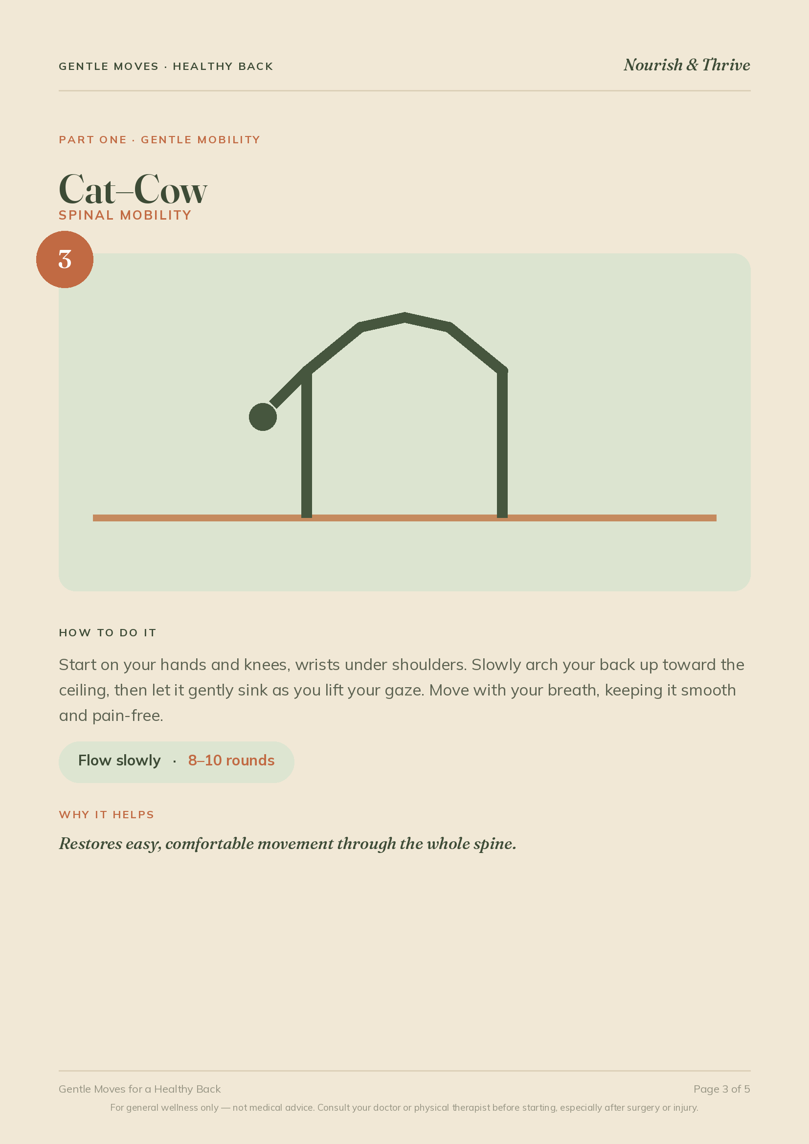 Gentle Moves for Back Health — cat-cow stretch